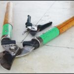 Guía completa: Cómo afilar tijeras de jardín con piedra para un corte perfecto