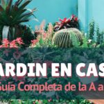 Guía completa: Cómo crear tu propio jardín paso a paso