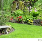 Guía completa: Cómo hacer un jardín botánico en casa paso a paso | [Nombre de la página web]