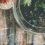 Guía completa: Cómo hacer un jardín eterno que florezca para siempre