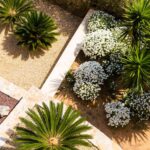 Guía completa: Cómo hacer un jardín seco exterior paso a paso