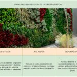 Guía completa: Cómo hacer un jardín sustentable paso a paso