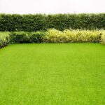 Guía completa: Cómo limpiar la grava del jardín de forma efectiva