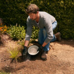 Guía completa: Cómo limpiar un jardín abandonado - Tips y consejos prácticos