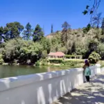 Guía completa: Cómo llegar al Jardín Botánico en bus - Consejos y rutas