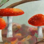 Guía completa: Cómo pintar sapos de jardín de manera creativa y original