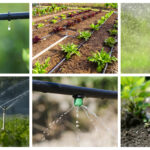 Guía completa: Cómo regar el jardín automáticamente de manera eficiente