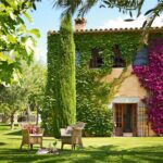 Guía completa de decoración de jardines con bugambilias: ideas y consejos