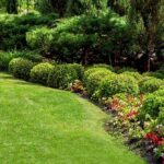 Guía completa de tipos de césped para tu jardín: descubre cuál es el ideal para ti