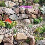 Guía completa para comprar piedras grandes para jardín: consejos, tipos y dónde encontrarlas