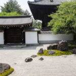 Guía completa para elegir y utilizar la mejor arena para tu jardín zen