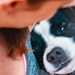 Guía completa para enterrar a tu mascota en el jardín: consejos y recomendaciones