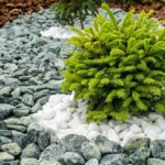 Guía completa sobre cómo limpiar piedras decorativas de jardín: consejos y trucos infalibles