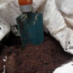 Guía completa sobre cómo utilizar aceite quemado en el jardín: beneficios, aplicaciones y precauciones