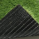 Guía completa sobre el mejor pasto para jardin de sombra: tipos, cuidados y recomendaciones