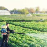 Guía definitiva: Cómo combatir plagas en plantas de jardín con métodos efectivos