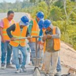 Guía integral para eliminar la plaga de pulgas del jardín: ¡Recupera tu oasis verde!