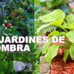 Guía paso a paso: Cómo hacer una iluminación de ensueño para tu jardín