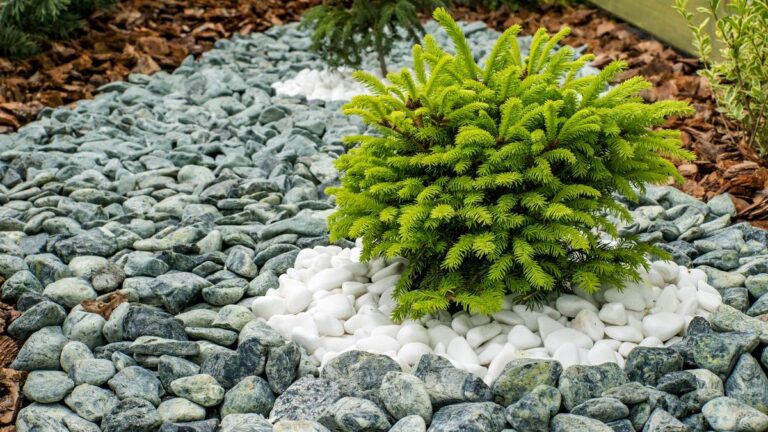 Decoración de jardines con tezontle: ideas y consejos para un espacio ...