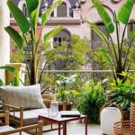 Jardín dentro de la sala: Cómo crear un oasis verde en tu hogar