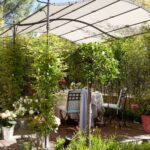 Jardín pegado a la pared: ideas y consejos para crear un oasis verde en espacios reducidos