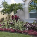 Jardines de ensueño: Cómo combinar hortensias y rosas para crear un paraíso floral