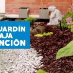 Jardines pegados a la barda: ideas y consejos para crear espacios verdes en tu hogar
