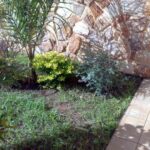 Jardines pequeños con muro llorón: Ideas y consejos para crear espacios armoniosos