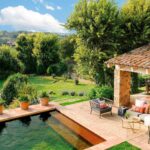 Jardines secos interiores debajo de escaleras: ideas y consejos para crear un oasis verde en espacios reducidos