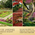 Jardines sencillos con piedras y bromelias: Consejos para crear espacios naturales y armoniosos en tu hogar