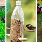 Jardines sostenibles: Crea espacios verdes únicos con material reciclado de botellas