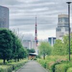 La mejor arena lavada para jardín en Torreón: Guía completa y recomendaciones