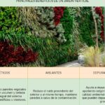 Las mejores plantas para jardines verticales interiores: Consejos y recomendaciones