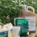 Los mejores fungicidas para plantas de jardín: guía completa y recomendaciones