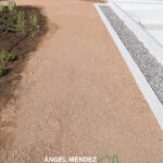 Los mejores tipos de arena para tu jardín: Guía completa