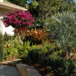 Los secretos para tener un árbol de jardín arreglado y saludable desde el principio