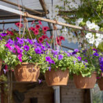 Maceteros de herrería para jardín: la elección perfecta para dar un toque de elegancia a tus plantas