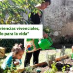 Martin el que te agarro en el jardín: consejos para evitar ser sorprendido en tu propio espacio verde