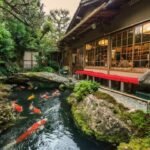 Nombres de los peces del jardín japonés: Descubre cómo se llaman y añade belleza a tu espacio verde