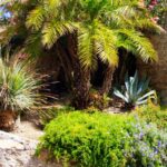 Piedra volcánica roja para jardín: consejos de uso y decoración para un paisaje espectacular
