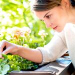 Plagas de plantas de jardín: cómo identificarlas y combatirlas eficazmente