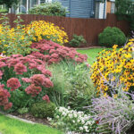 Tipos de jardines: descubre sus características y elige el ideal para ti
