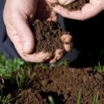 Todo lo que necesitas saber sobre costales de tierra para tu jardín