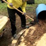 Todo lo que necesitas saber sobre las virutas de madera para tu jardín: beneficios, usos y recomendaciones